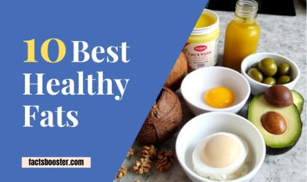 Best Healthy Fats