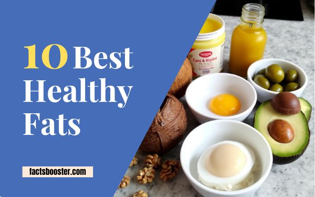 Best Healthy Fats