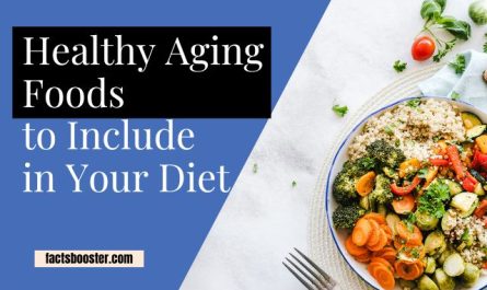 Healthy Aging Foods