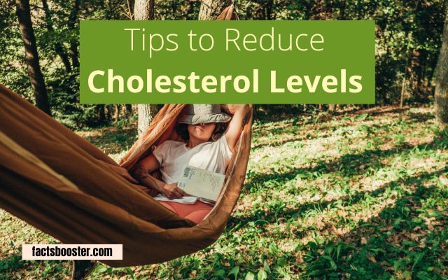 Reduce Cholesterol Levels