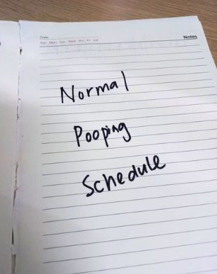 Normal Pooping Schedule
