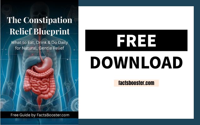 Years of Constipation — The Free Blueprint I Wish I Had Sooner
