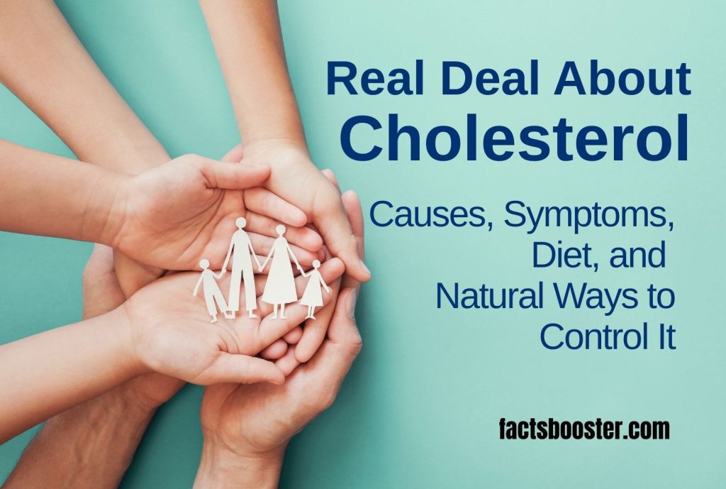 Real Deal About Cholesterol