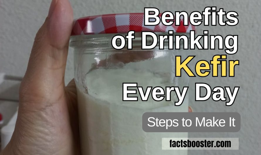 Benefits of Drinking Kefir Every Day – How to Make It at Home?
