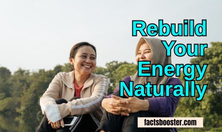 Rebuild Your Energy Naturally
