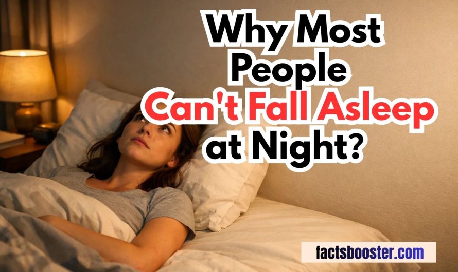 Why Most People Can’t Fall Asleep at Night