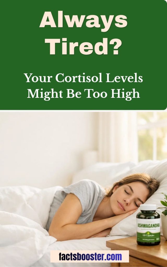 Why Am I Always Tired