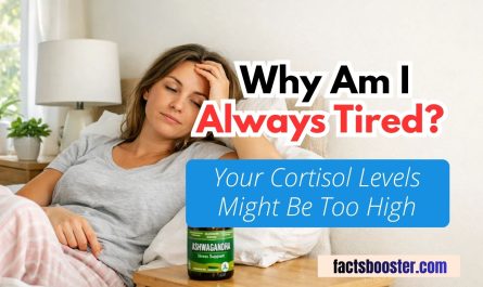 Why Am I Always Tired