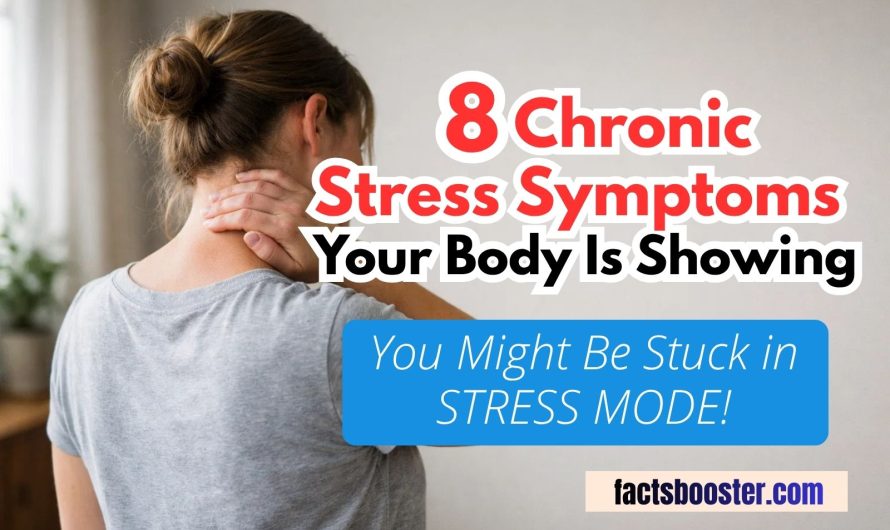 8 Chronic Stress Symptoms Your Body Is Showing (You Might Be Stuck in Stress Mode)