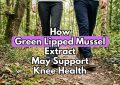 How Green Lipped Mussel Extract May Support Knee Health